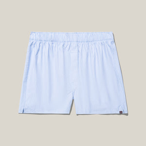 Light Blue and Navy Stripe