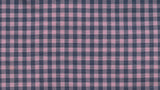 Pink and Navy Gingham